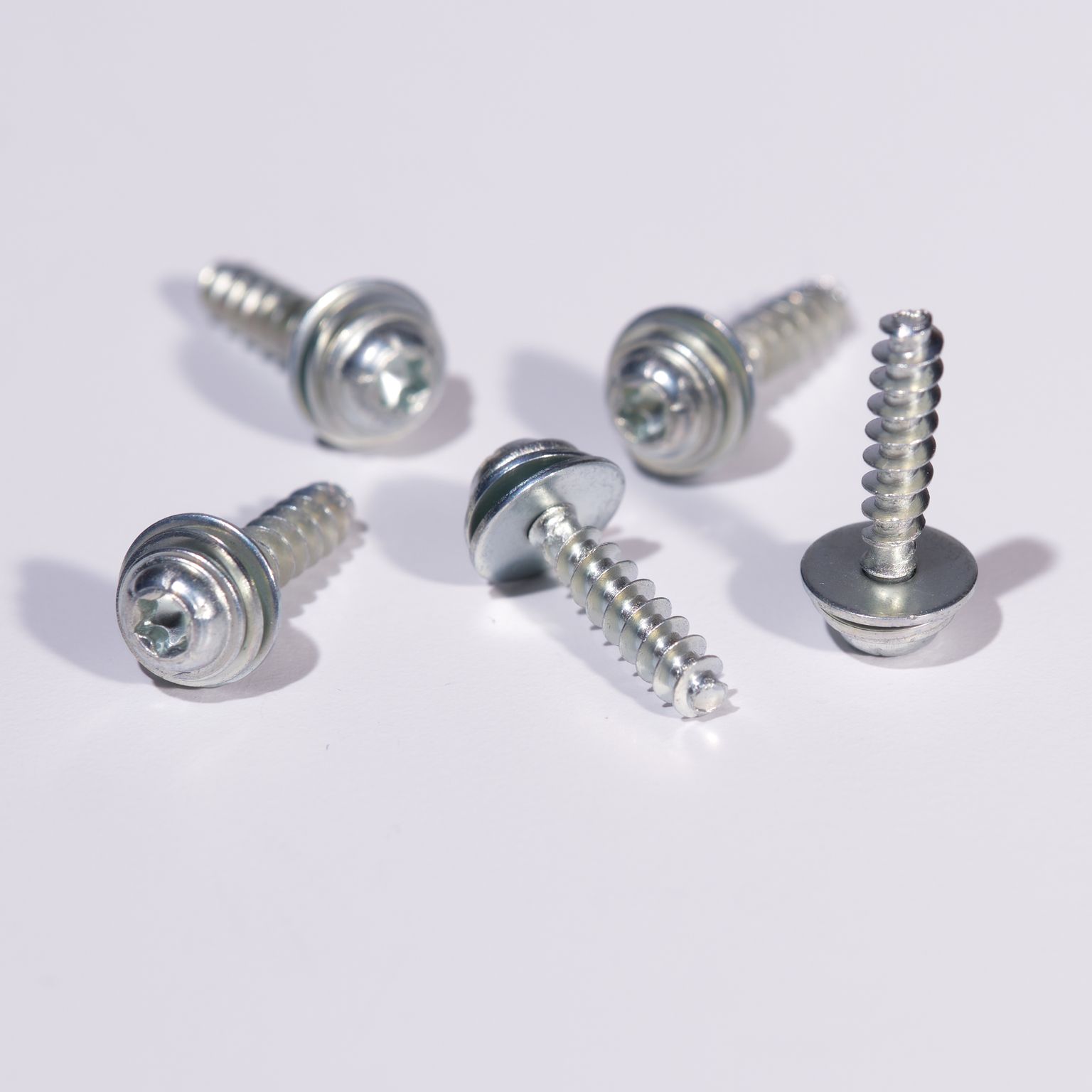 Captive screw with washer